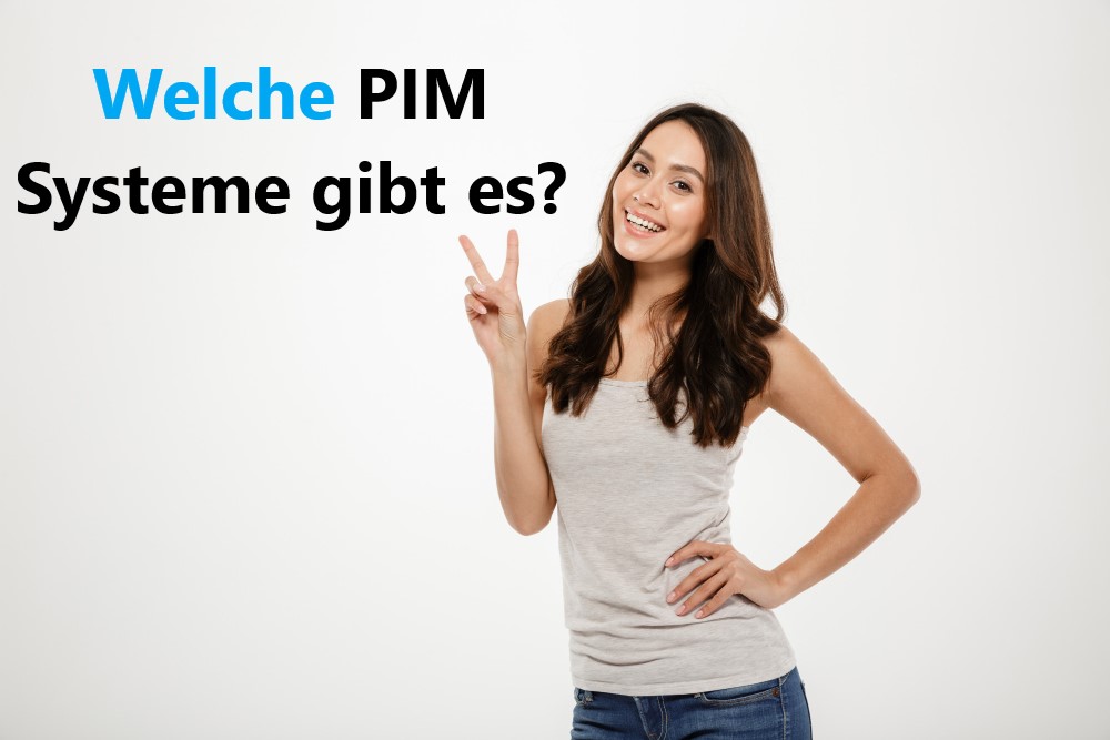 Welche PIM Systeme gibt es?